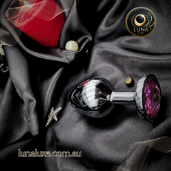 💎Stainless Steel Butt Plug with Crystal Tail – Anal Toy