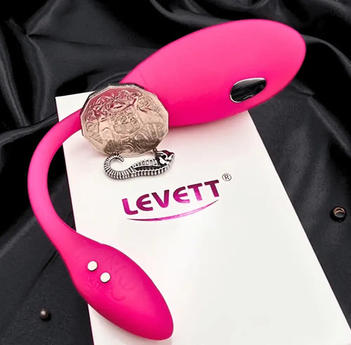 Product with user manual and magnetic USB cable, showing in-box contents for the app vibrator.