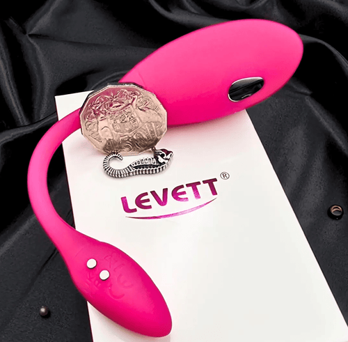 Product with user manual and magnetic USB cable, showing in-box contents for the app vibrator.